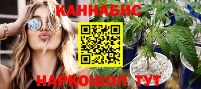 стаф Отрадный