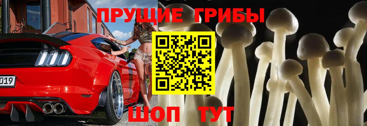 Курчатов  Галлюциногенные грибы мицелий  Псилоцибиновые грибы ЛСД  Вход с VPN 